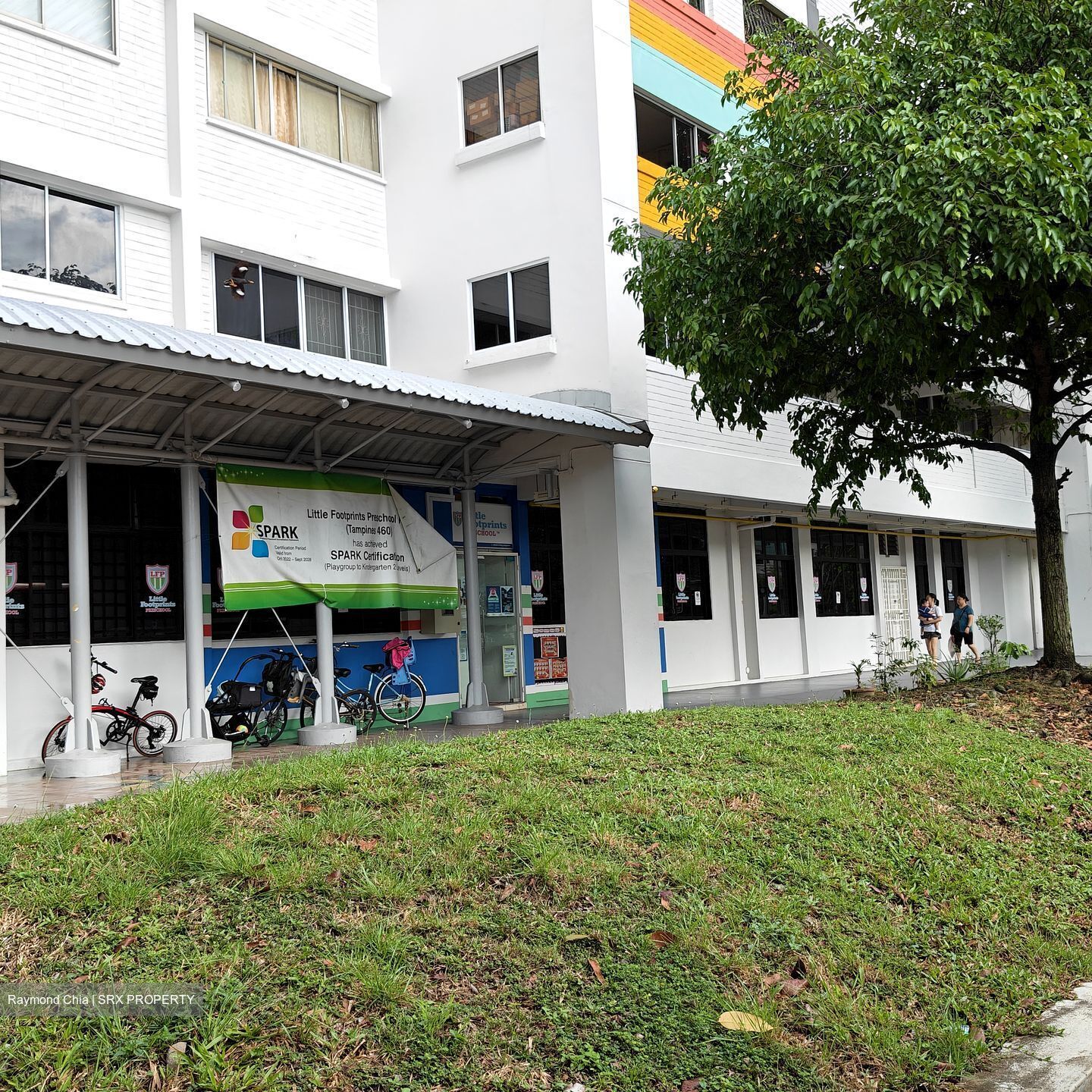 Tampines Street 42 (Tampines),  #557235561